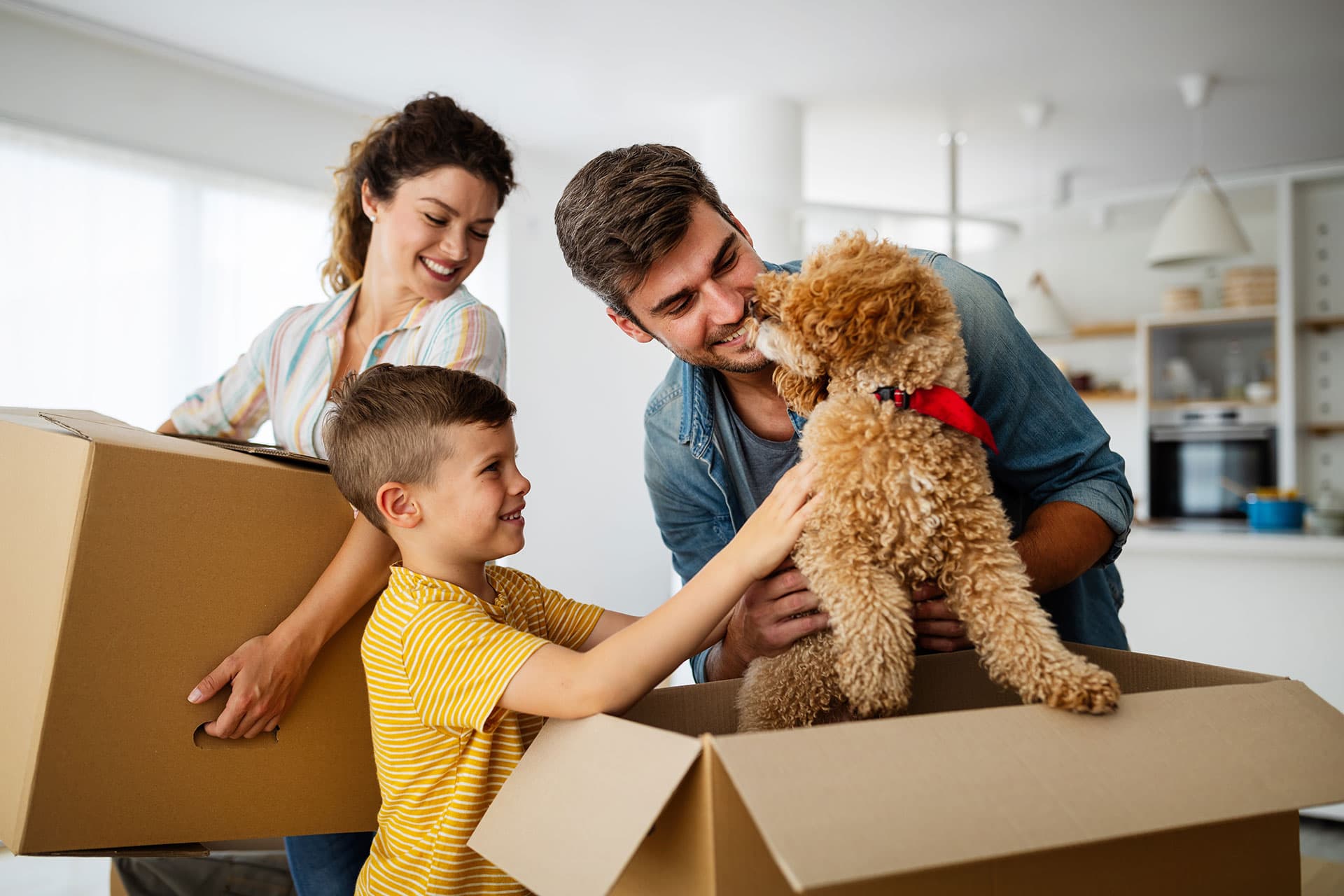Prepare for moving